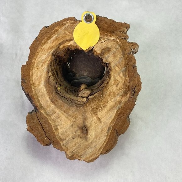 Vintage Painted Rock Owl in Wood Tree Branch Wall Decor - Picture 3 of 10